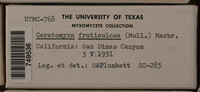 Image Associated With the Occurence